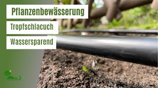 Tropfschlauch von Gardena Gartenbewässerung bequem Blumen amp Pflanzen bewässern MicroDripSystem [upl. by Botnick]