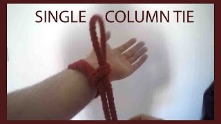 How to tie a Single Column Tie [upl. by Ennaeel]