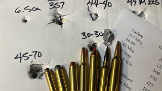 357 mag vs 4440 vs 44 mag vs 3030 vs 4570 vs 65 creedmoor vs 7mm Rem Mag  Deep Penetration Test [upl. by Mcgraw]