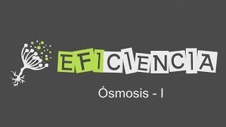 ÓSMOSIS I Membrana semipermeable Paso disolvente Inversa y Directa Turgencia Plasmólisis [upl. by Noyerb433]