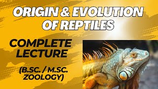 ORIGIN AND EVOLUTION OF REPTILES I Explanation  MSc  BSc Zoology [upl. by Sineray]