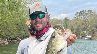 41023 Lake Chickamauga Fishing Report [upl. by Mcginnis]