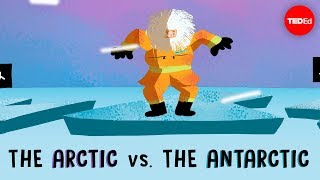 The Arctic vs the Antarctic  Camille Seaman [upl. by Mullen620]