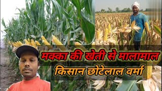 Makka Ki Kheti Se Malamal Kisan Chotelal Varma [upl. by Nnaeirb178]