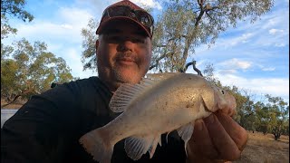 Yellowbelly Fishing the Paroo River [upl. by Blithe751]