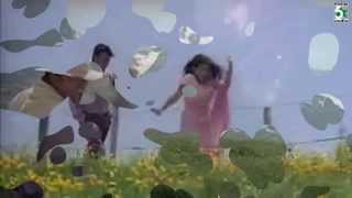 Minsaaram En Meedhu Song  Run  Madhavan  Meerajasmine [upl. by Hurwitz619]