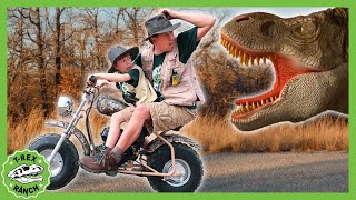 Is that the Mommy TRex Vehicles Dinosaurs  MORE  TRex Ranch Dinosaur Videos for Kids [upl. by Jueta]