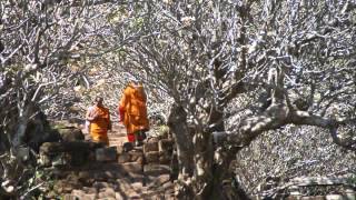 CHAMPASAK laos pakse bolivan plateau wat phou [upl. by Blayne]