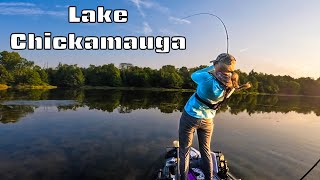 Spontaneous Tournament Fishing On Chickamauga Gone Wrong [upl. by Luas979]