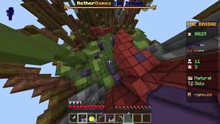 Minecraft NG live [upl. by Colette]