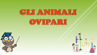 Animali Ovipari [upl. by Hurlow]