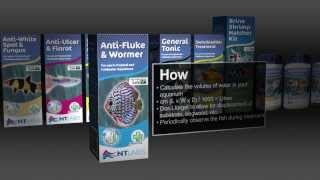 How To Use AntiFluke amp Wormer [upl. by Jethro16]