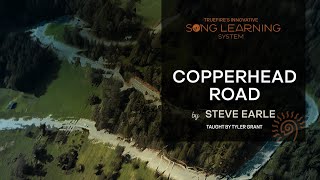 🎸 Learn How to Play “Copperhead Roadquot by Steve Earle  Guitar Lesson  Overview  TrueFire [upl. by Arhas]