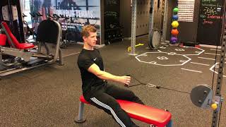 Unilateral Seated Cable Row [upl. by Jago313]