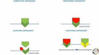 INTRINSIC ACTIVITY OF A DRUG amp QUANTAL DOSERESPONSE RELATIONSHP [upl. by Leatrice741]