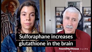 Sulforaphane increases glutathione in the brain  Jed Fahey [upl. by Trik]