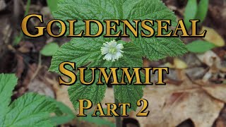 Goldenseal Summit Part 2 [upl. by Tybi641]