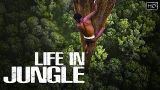 बिना किसी चिजों के क्या हम जंगल में कुछ दिन बिता सकते है  Life In Jungle  Wild Documentary [upl. by Cuthburt]