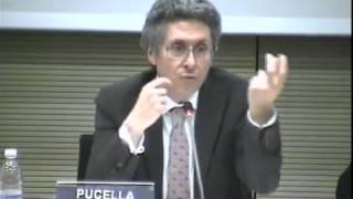 Roberto Pucella  La causalità nell’illecito civile e nella responsabilità contrattuale  532015 [upl. by Scot523]