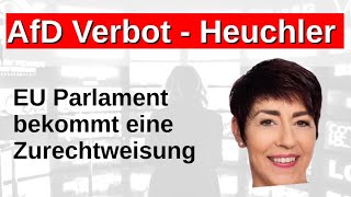 AfD Verbot im EU Parlament Zurechtweisung durch Christine Anderson Wahlumfragen Sonntagsfrage [upl. by Krystalle164]