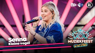 Senna  Kleine vogel LIVE • Muziekfeest op het Plein 2024  Sterren NL [upl. by Ffirahs]