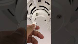 Start world loudest ceiling fan  noisy ceiling fan  crazy noise  bear in trouble  short video [upl. by Muslim]