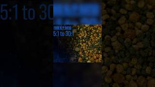 What should nitrate levels be in a reef tank 52se brstv [upl. by Laenaj]