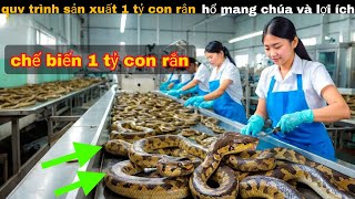 Quy Trình Sản Xuất Chế Biến 1 tỷ Con Rắn Hổ Mang chúa  review giải trí [upl. by Koralle426]