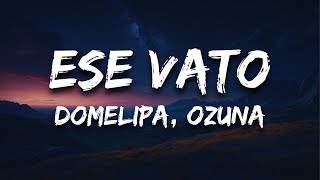 DOMELIPA Ozuna  ESE VATO Letra  Lyrics [upl. by Ainitsirk]