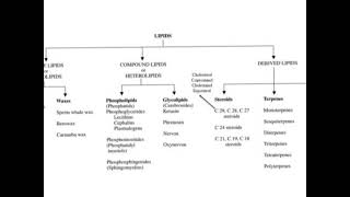 Lipids and its Types [upl. by Yleek]