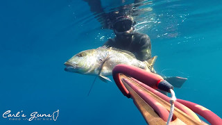 Carls Guns Epéore Laser 110 Start Of Season 2017 Spearfishing Dentex [upl. by Deenya]