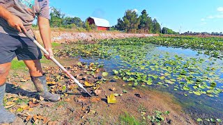 Sealing our Pond Dam with Bentonite Clay and Getting Rid of Lily Pads [upl. by Feola637]