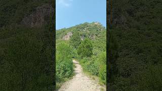 Weekend Hike Trail 3 hiking islamabad trail3 nature mountains besthikes peakwalk hiketop [upl. by Spiro]