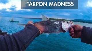 TARPON FISHING PHILIPPINES  Shimano Alivio DX210 [upl. by Hiamerej]