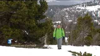 Le Vercors en pleine nature [upl. by Venetis]