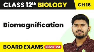 Class 12 Biology Chapter 16  Biomagnification  Environmental Issues 202223 [upl. by Munt784]