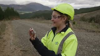 Silviculture at OneFortyOne New Zealand [upl. by Stetson635]