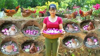 Harvest Chicken Eggs In Hole Goes to market sell amp Build Hole For Hens To Lay Eggs  Tiểu Vân Daily [upl. by Dittman824]