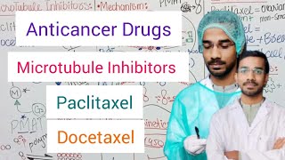 Anticancer Drugs  Microtubule Inhibitors  Paclitaxel  Docetaxel [upl. by Macrae956]