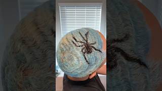 SPIDER ON MY HEAD 🕷️‼️  woahhhwavescom hairart 360waver [upl. by Etiuqal]