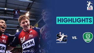 SG FlensburgHandewitt vs HBW BalingenWeilstetten  Die Highlights  Saison 202324 [upl. by Gomer]