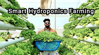 Hydroponic Farming Guide A Detailed Tour of Innovative Indoor Gardening Techniques [upl. by Eliason428]