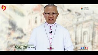 SHRINES MARKS OF GOD’S PRESENCE FOR A PILGRIM PEOPLE Cebu Archbishop José S Palma [upl. by Notsyrb132]