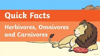 Quick Facts Herbivores Omnivores and Carnivores Video [upl. by Sheppard]