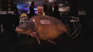 Videotagebuch  CARP Zwolle 2014 [upl. by Pelmas669]