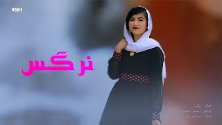 New Hazaragi Song  Nargas  Salman hamard آهنگ جدید هزارگی  نرگس  سلمان همدرد [upl. by Toms]