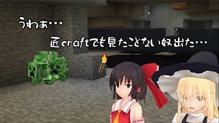 【Minecraft】メイドとモン娘と楽園生活Part1【ゆっくり実況】 [upl. by Damalas]