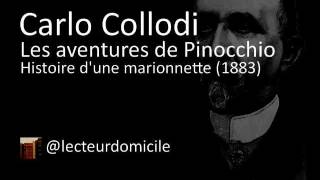 Les aventures de Pinocchio  Carlo Collodi  07 [upl. by Nuhs]