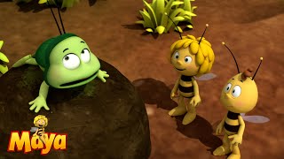 The Frogs Want to Eat Bees  Maya the Bee🐝🍯🐝 [upl. by Furey958]