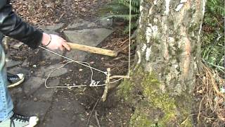 How to build a tripwire snare trap [upl. by Tilla]